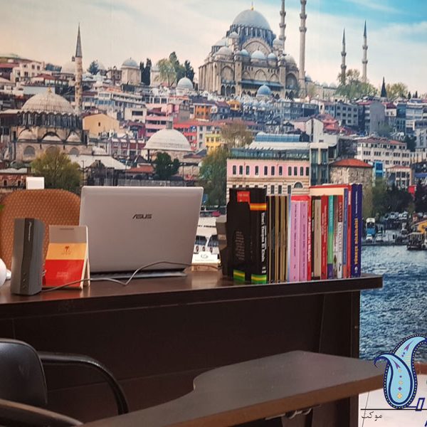 Termeh felt wallcovering