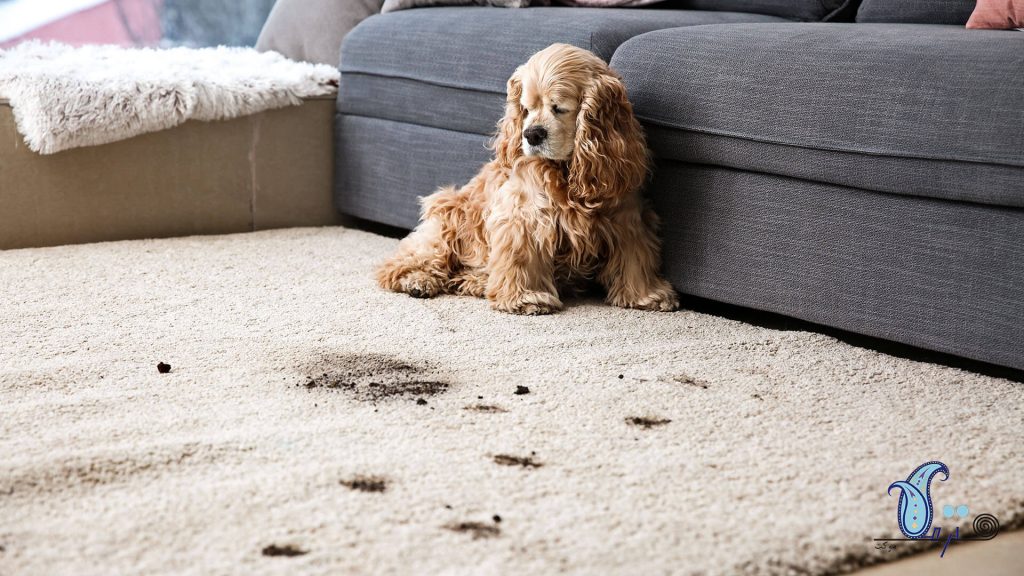 کاربردهای نمد در طراحی داخلی Felt Design TermehCarpet.com 1 1024x576 - کاربردهای نمد در طراحی داخلی