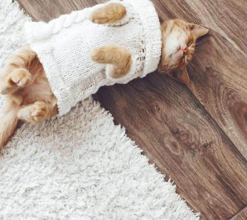 کف‌پوش‌های مناسب برای گرما بخشیدن به محیط در فصل زمستان