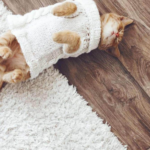 Flooring for Winter TermehKids.com 3 600x600 - -