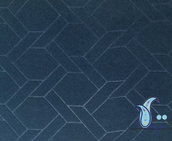 nm abinafti 600x492 - نیما