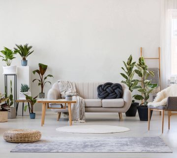 استفاده از گیاهان در محیط خانه