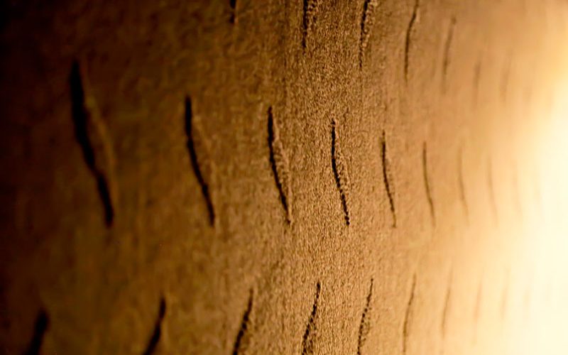 shafaghcarpetp 800x500 - موکت